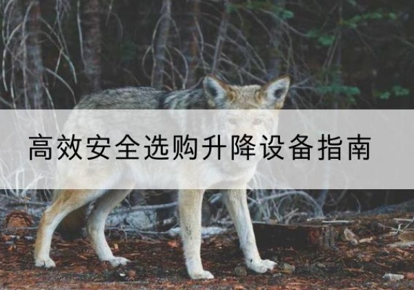 内黄升降货梯厂家推荐-*安全选购升降设备指南