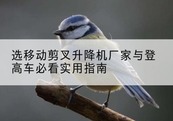 内黄电动升降机厂家-选移动剪叉升降机厂家与登高车必看实用指南