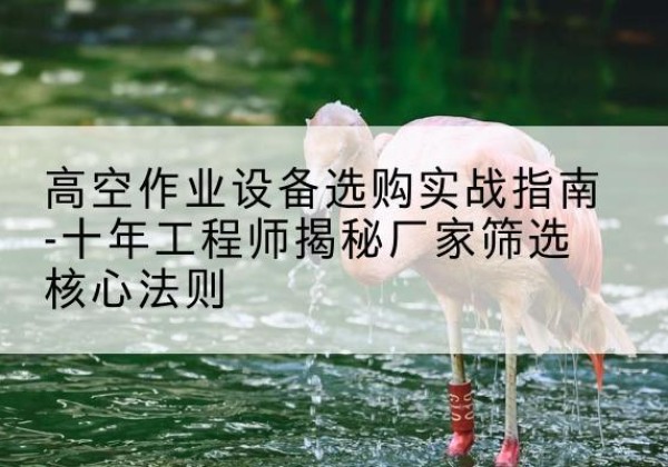 内黄剪叉式升降机厂家-高空作业设备选购实战指南-十年工程师揭秘厂家筛选核心法则